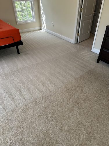 Ashburn-Carpet-Cleaning-6