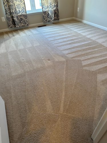 Ashburn-Carpet-Cleaning-8